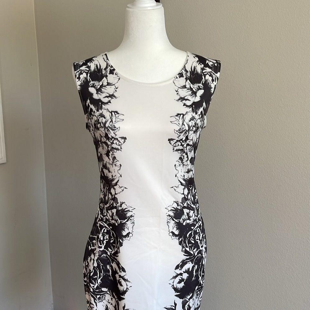 NWT Windsor Black and White Floral Dress Size L